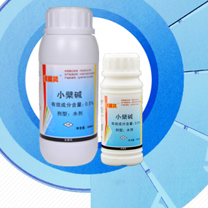 沃柑潰瘍病專用藥——潰腐靈 價格、廠家與產品詳解